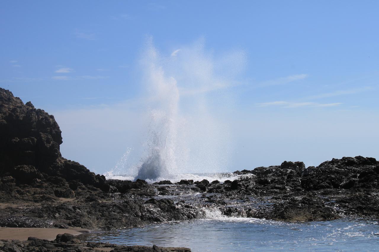 Punta Duarte Garden Inn Los Duarte Eksteriør billede